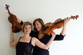 Viool solo ,duo of Strijkkwartet