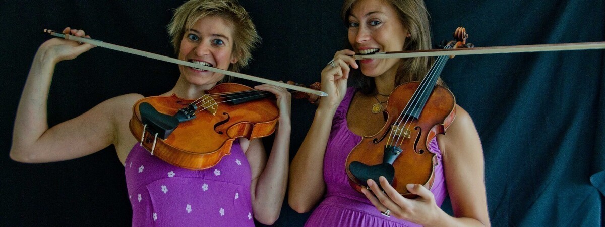 Viool solo ,duo of Strijkkwartet