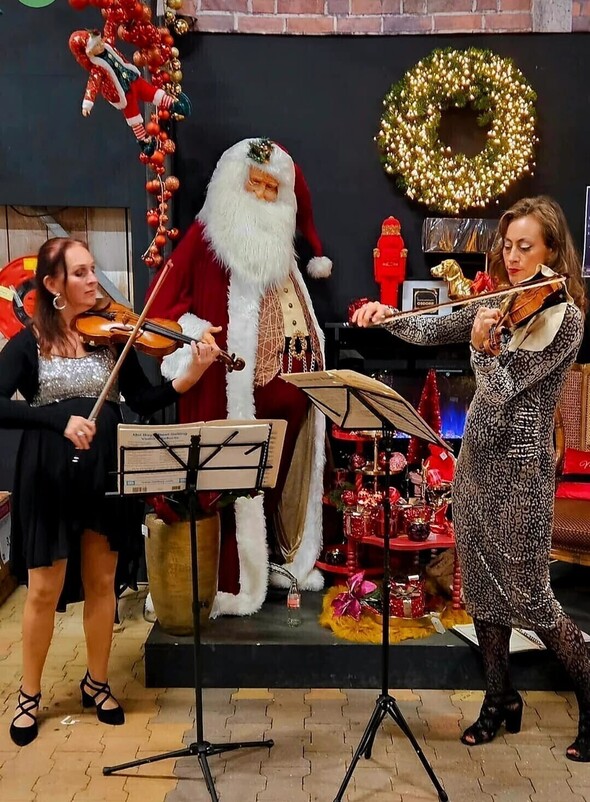 Viool solo ,duo of Strijkkwartet